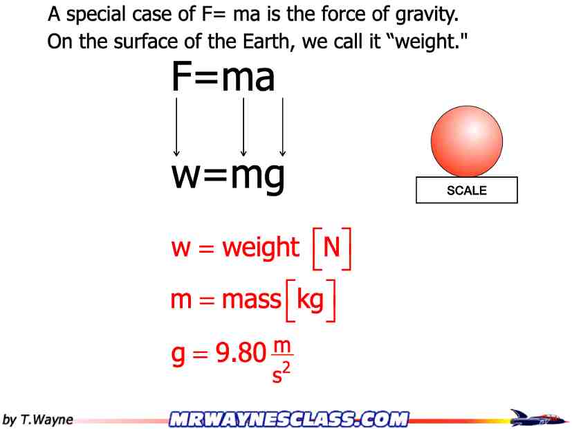 Newton02.031