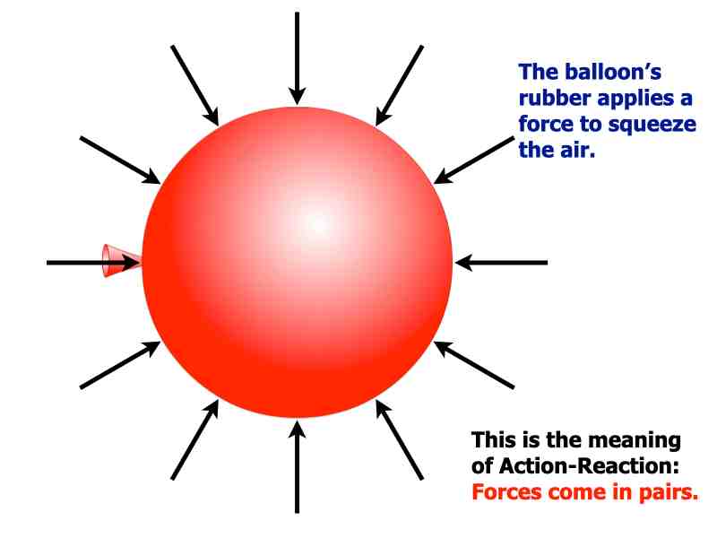 Newton03.010