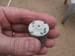 Motor showing dot on#30010