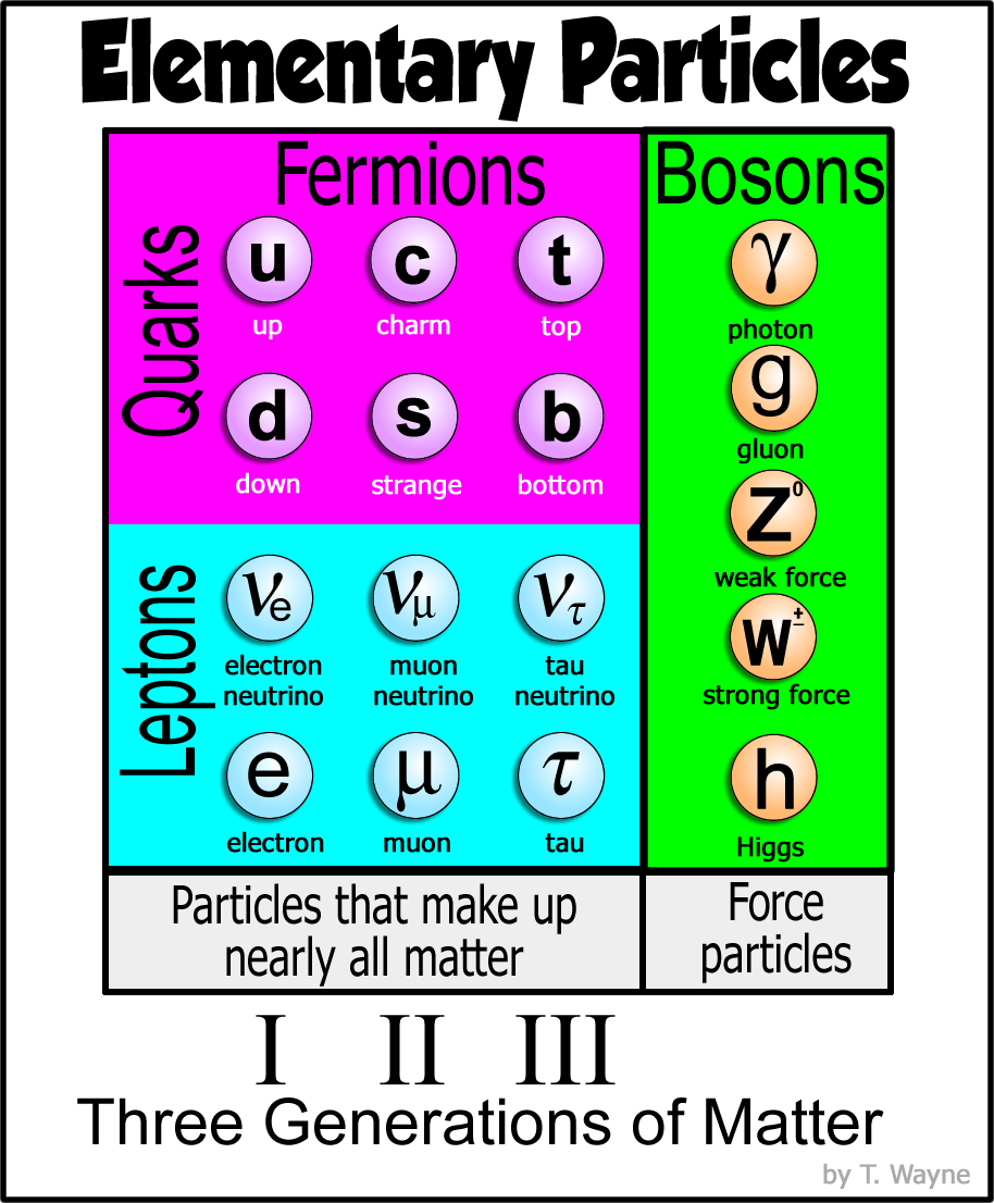 Large Image of hte standard Model