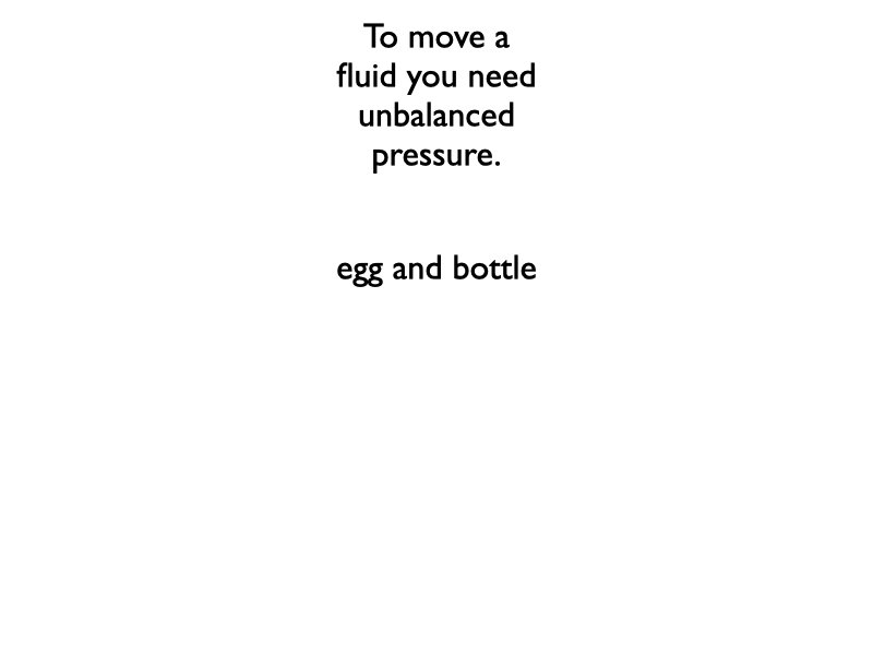 02_F.031