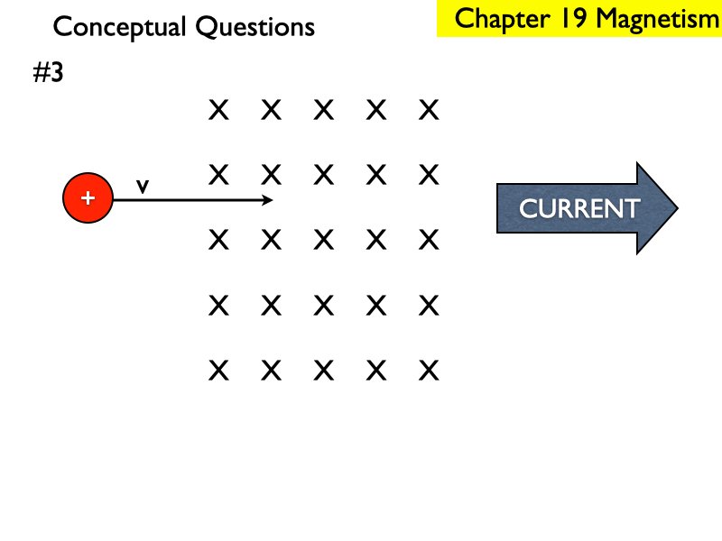 M_.245