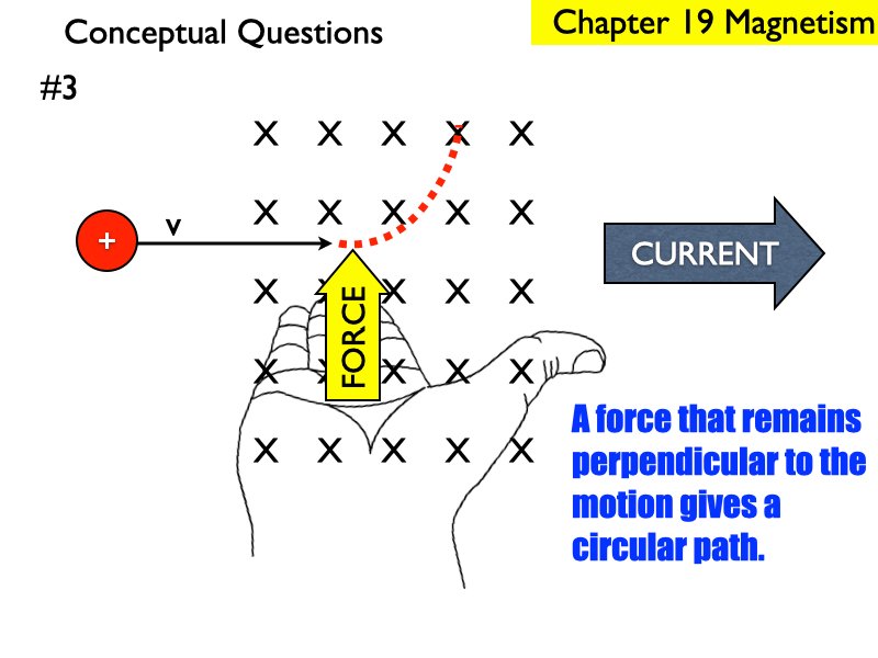 M_.247