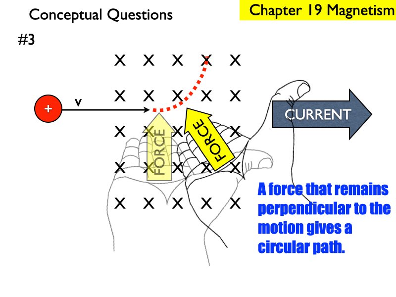 M_.248