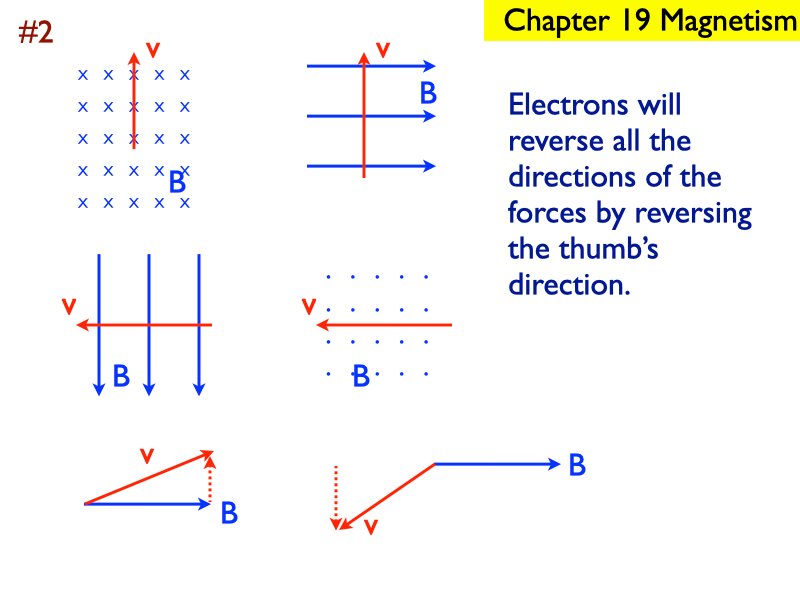 M_.254