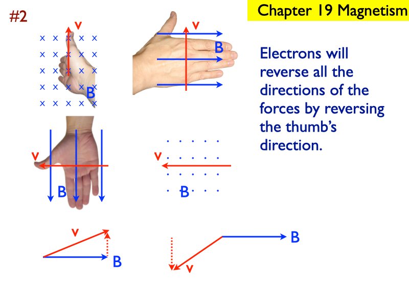 M_.257