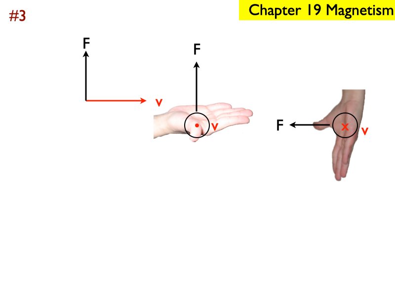 M_.261