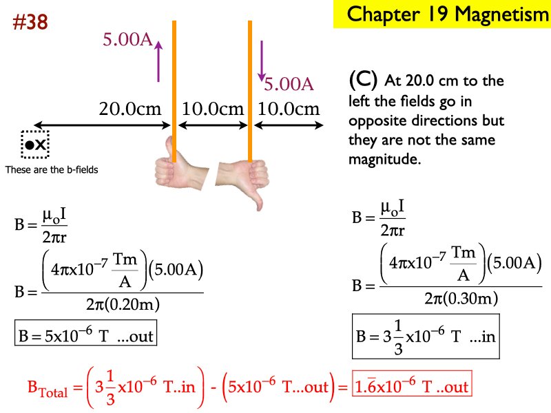 M_.281