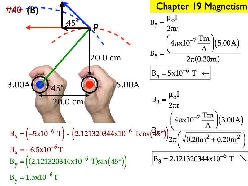 M_.291