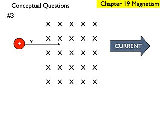 M_.245.jpeg