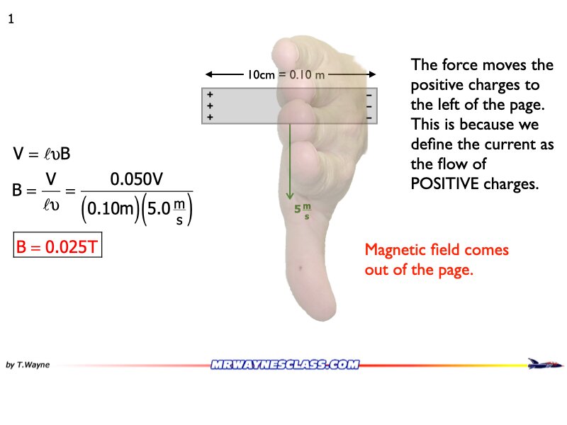 AP_EandM_Answers.162