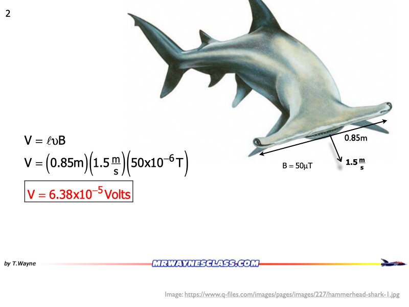 AP_EandM_Answers.163