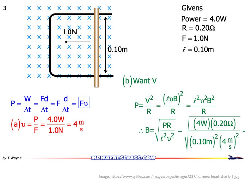 AP_EandM_Answers.165