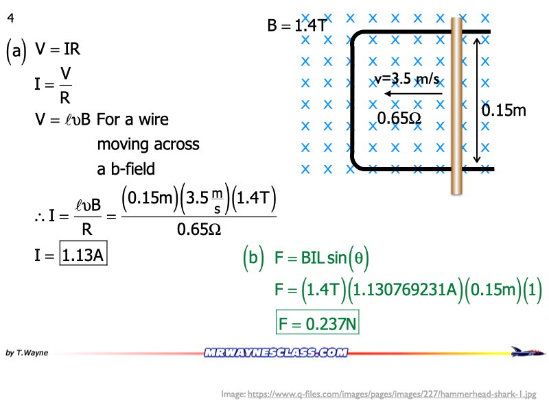 AP_EandM_Answers.166