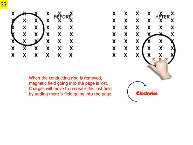 AP_EandM_Answers.170