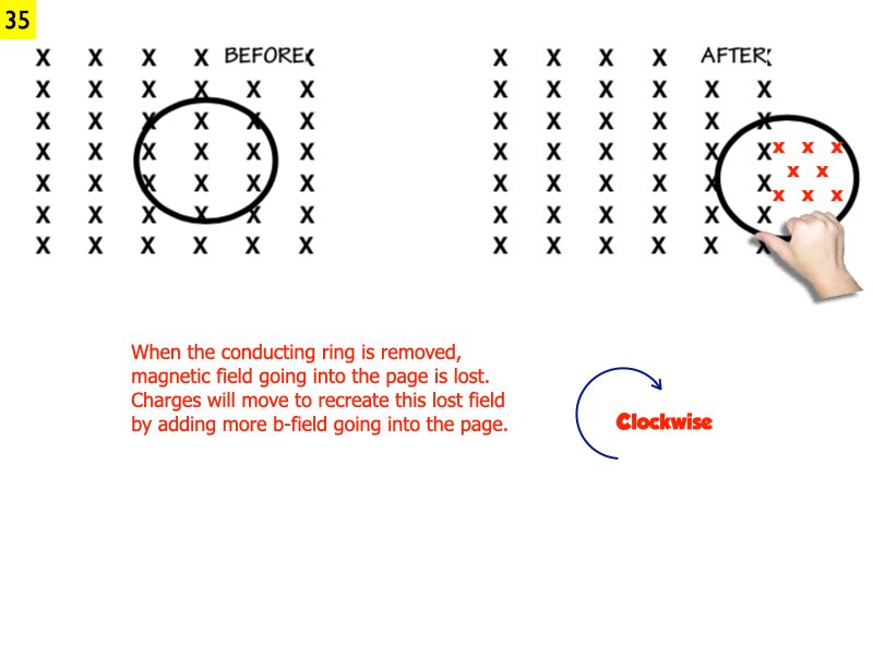 AP_EandM_Answers.172