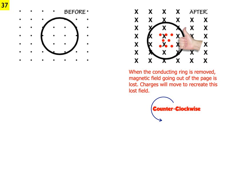AP_EandM_Answers.174