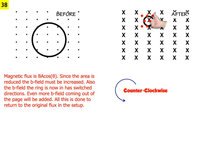 AP_EandM_Answers.175