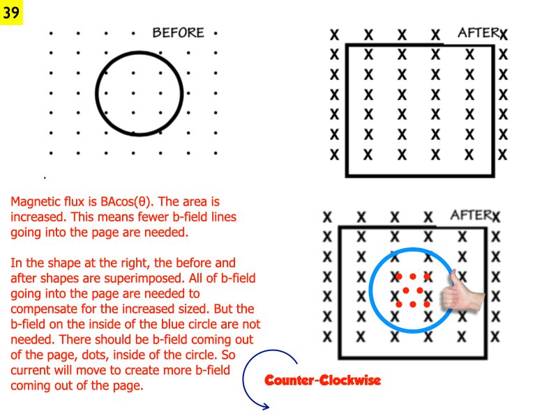 AP_EandM_Answers.176