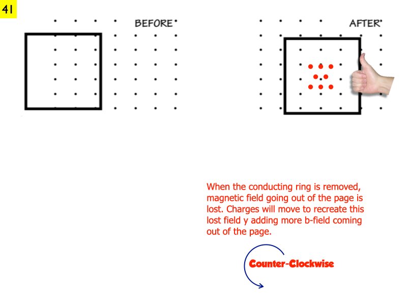 AP_EandM_Answers.177