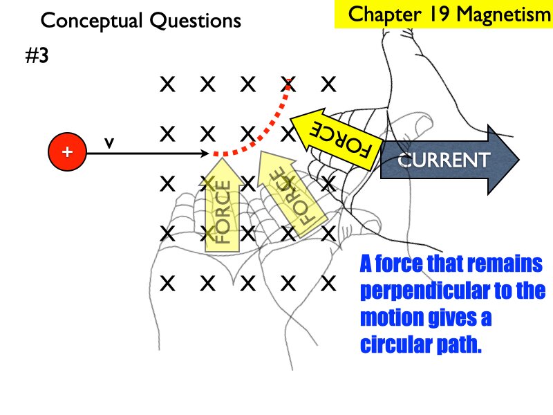 AP_EandM_Answers.184