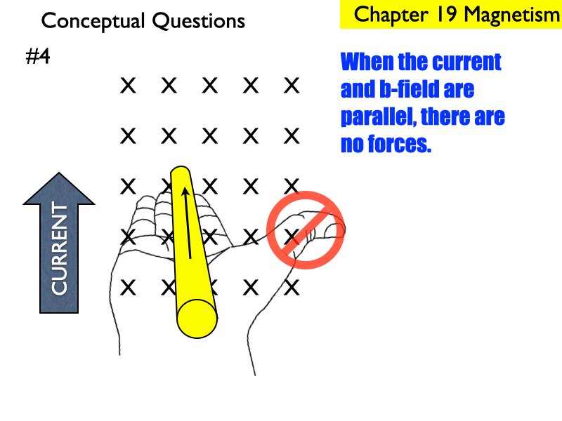 AP_EandM_Answers.185