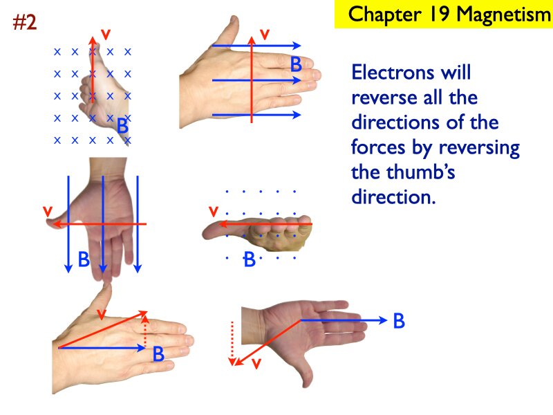 AP_EandM_Answers.187