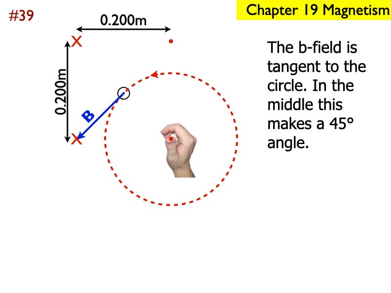 AP_EandM_Answers.202
