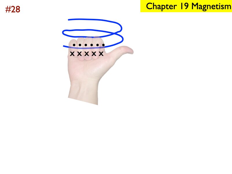 AP_EandM_Answers.219