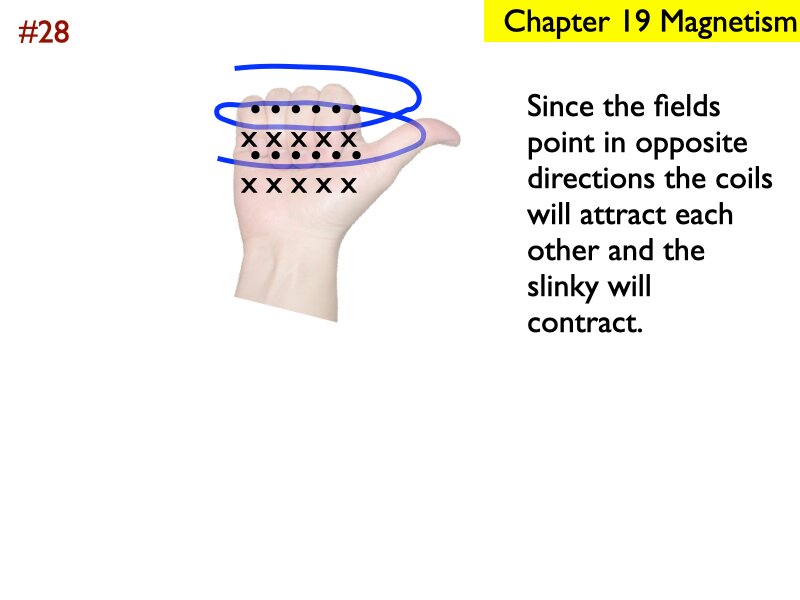 AP_EandM_Answers.220