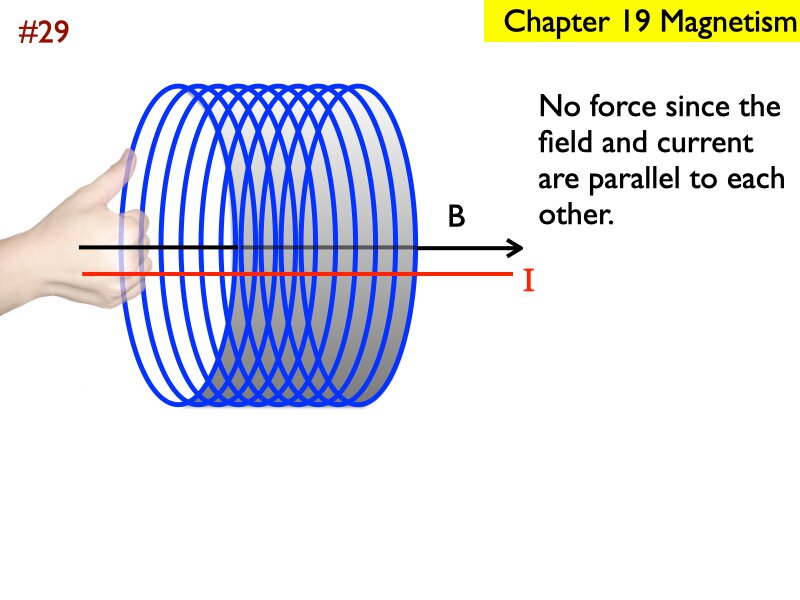 AP_EandM_Answers.221