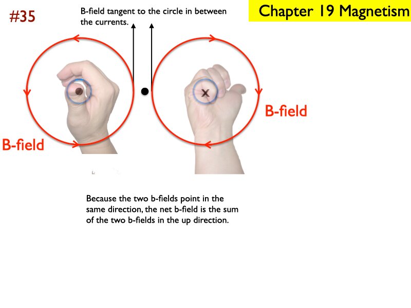 AP_EandM_Answers.226