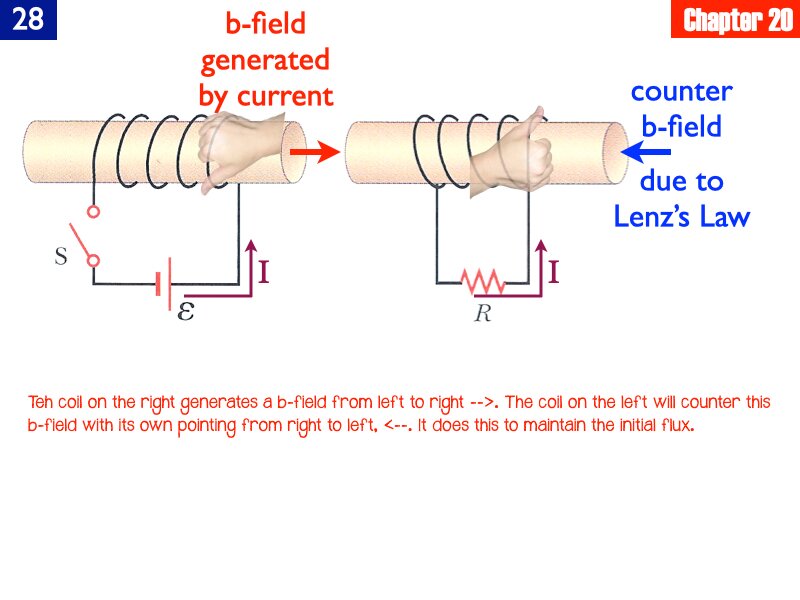 AP_EandM_Answers.238