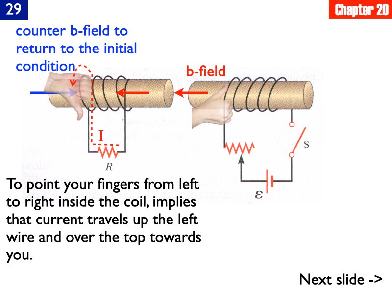AP_EandM_Answers.241