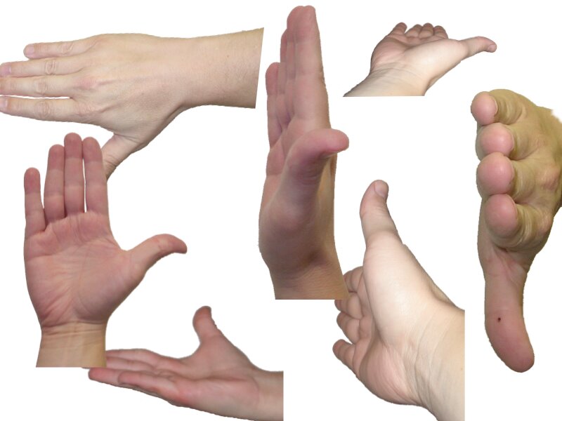 AP_EandM_Answers.252