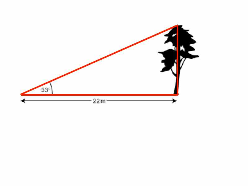 trig.009